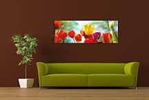 Obrazy Kvetov panoráma zs101