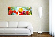 Obrazy Kvetov panoráma zs101