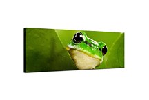 Panoráma Zvierat Obrazy zs112