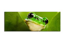 Panoráma Zvierat Obrazy zs112