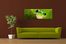 Panoráma Zvierat Obrazy zs112