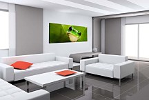 Panoráma Zvierat Obrazy zs112