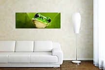 Panoráma Zvierat Obrazy zs112