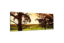 Stromy Obrazy zs3255