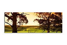 Stromy Obrazy zs3255