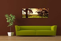 Stromy Obrazy zs3255