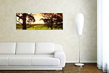 Stromy Obrazy zs3255