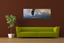 Panorámy Zvierat Obrazy zs3176