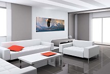 Panorámy Zvierat Obrazy zs3176