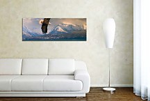 Panorámy Zvierat Obrazy zs3176