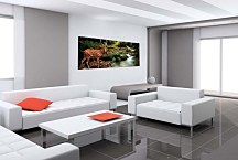 Obrazy Zvierat zs18629