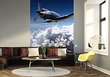 McDonnell Douglas F15E - fototapeta FM0181