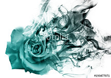 fototapeta limpet ruža abstrakcia rose smoke decotrend