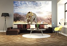 Leopard - fototapeta FM0244