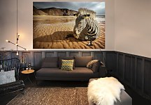 Zebra čierno-biela tapeta FS0299