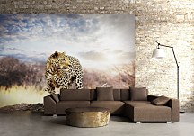 Leopard - fototapeta FM0244