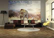 Leopard - fototapeta 366x254 cm FXL0244