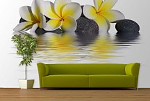 Fototapeta Kamene a Kvety 6282 - samolepiaca na stenu