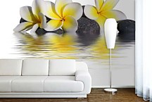 Fototapeta Kamene a Kvety 6282 - samolepiaca na stenu