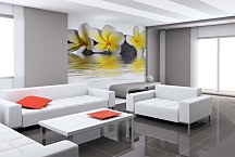 Fototapeta Kamene a Kvety 6282 - samolepiaca na stenu