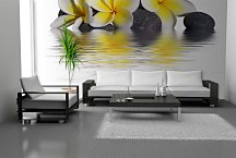 Fototapeta Kamene a Kvety 6282 - samolepiaca na stenu