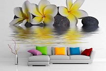 Fototapeta Kamene a Kvety 6282 - samolepiaca na stenu