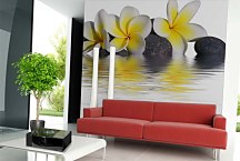 Fototapeta Kamene a Kvety 6282 - samolepiaca na stenu