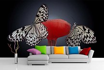 Fototapeta Motýle 4206 - samolepiaca na stenu