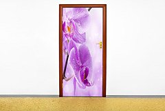 Fototapeta na dvere 6841