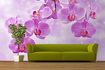 Fototapeta Orchidea 24430 - latexová