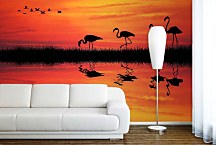 Fototapeta Plameniaky 4088 - samolepiaca na stenu