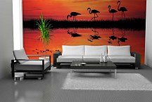 Fototapeta Plameniaky 4088 - samolepiaca na stenu