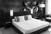 Fototapeta Sova 4022 - vliesová