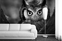 Fototapeta Sova 4022 - vliesová