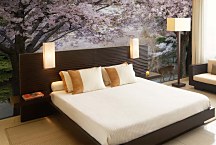 Fototapeta V lese 6948 - samolepiaca na stenu