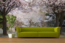 Fototapeta V lese 6948 - samolepiaca na stenu