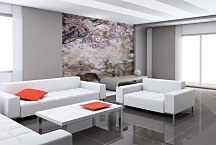 Fototapeta V lese 6948 - samolepiaca na stenu