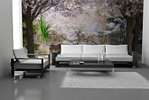 Fototapeta V lese 6948 - samolepiaca na stenu