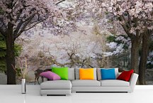 Fototapeta V lese 6948 - samolepiaca na stenu