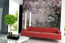 Fototapeta V lese 6948 - samolepiaca na stenu