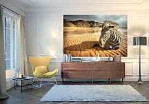 Zebra čierno-biela tapeta FS0299