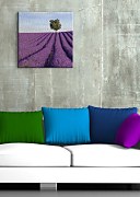 Francúzske levandule - Obraz CKS0532