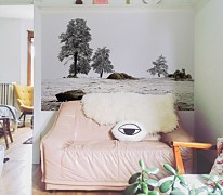 Zamrznutá lúka fototapeta FS3721