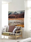 Flamingos - fototapeta FS3832