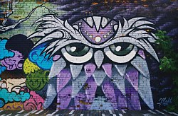 Graffiti sova - fototapeta FS4925