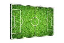 Obraz Futbalové ihrisko 29313