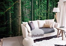 Tajomný les fototapeta FX3502