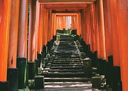 Tunel Kyoto fototapeta FX3548