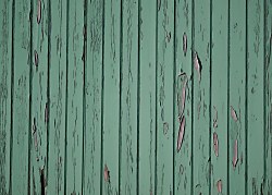 Stena z dosiek - fototapeta FX3651