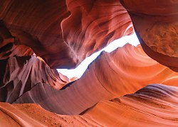 Pieskovec fototapeta FX3652